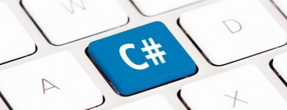 C#/Net.  Developer