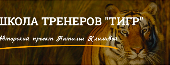 Школа бизнес-тренеров ТИГР