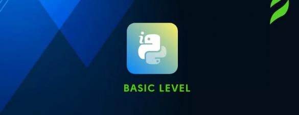 Курс Python Basic. Базовай курс для новичков