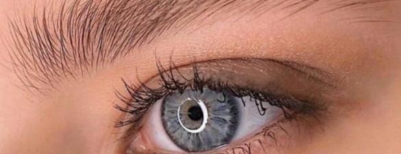 Курс бровіста Brow Master Intensive