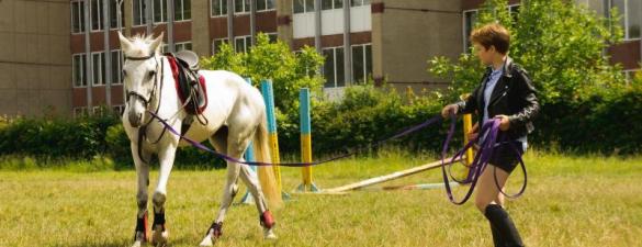 Виїздка (Dressage). Заняття для покращення навичок у кінному спорті