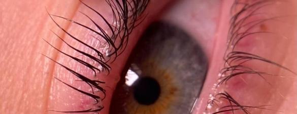 Ламінування вій - Lash Lamination. Базовий поглиблений курс з відпрацюванням на моделях