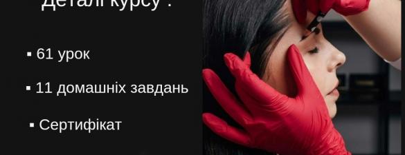 Онлайн базовый курс по бровям Бровист PRO ONLINE 61 уроков без обратной связи (в записи)