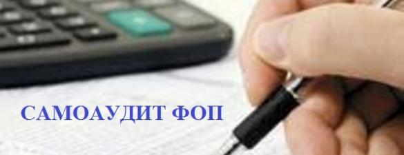 Курс Самоаудит та підготовка до перевірки ФОП. Онлайн навчання для підприємців та бухгалтерів