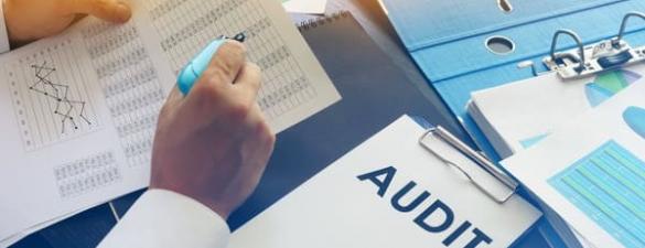 Внутрішній аудитор (IAPBE) 
