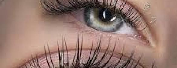  «Базове нарощування вій (ВІІ) – середній рівень» ІДИВІДУАЛЬНЕ НАВЧАННЯ