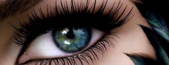 Майстер-універсал з нарощування вій. Еліт курс