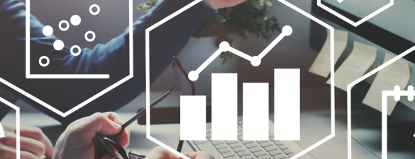 Фінансовий директор. Індивідуальне навчання