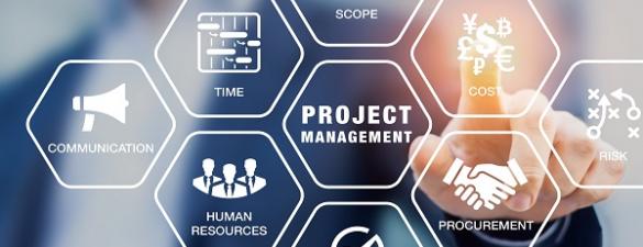 Управління проєктами. Базовий курс. Індивідуальний курс