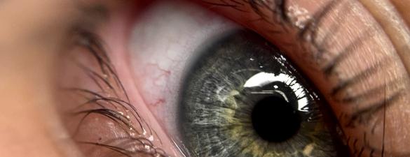 Базовий курс ламінування вій. Відпрацювання на моделях