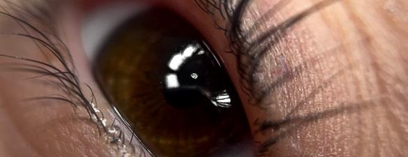 Курс підвищення кваліфікації ламінування вій. Відпрацювання на моделях