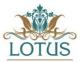 LOTUS, Центр Естетичної освіти та особистісного зростання (Київ)