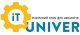 IT-Univer, ІТ-освіта для школярів. Онлайн-курси