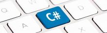 C#/Net. Developer