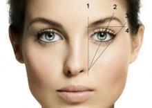 Курс Brow Master