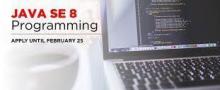 Java SE Programming. Online