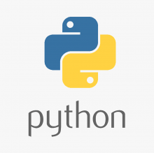 Курс программирования: Python. Индивидуально