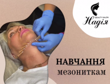 Навчання мезониткам. Індивідуальне навчання з відпрацюванням на моделях