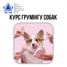 Курс Грумінгу. Стрижки собак Pet Grooming