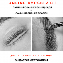 Онлайн курс 2в1 - Ламинирование бровей и Ламинирование ресниц (в записи)