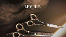 Практичний блок. Стрижки. Level 2