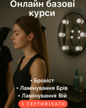 Курс онлайн 3в1 Бровист + Ламинирование бровей и ресниц сидя (3 сертификата)