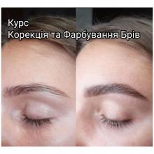 Курс «Корекція та фарбування брів». Навчання з практичним відпрацюванням